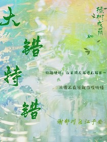 大错特错1