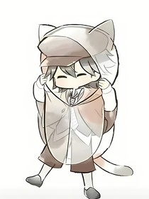 乱坡