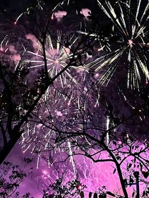 TheNarcotics：毒鸢尾