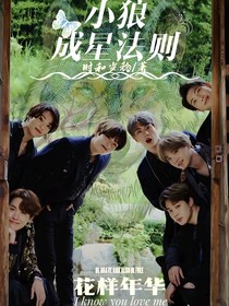 BTS：小狼成星法则