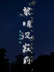 黎明沉寂前