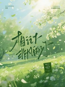 相机下非凡的你