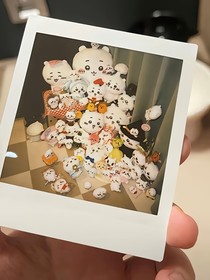 知意知意