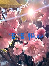 昔昔相心