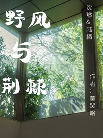 野风与荆棘