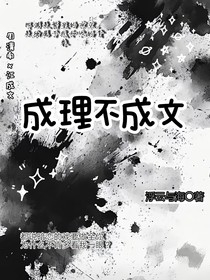 成理不成文
