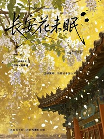 长安花未眠