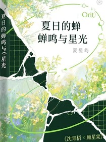 夏日的蝉鸣与星光……
