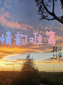情韵难筹