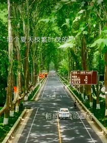 不再等待的花期