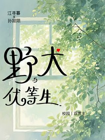 野犬与优等生