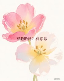双胞胎吗？有意思
