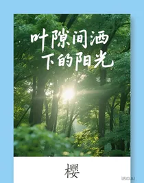 叶隙间洒下的阳光