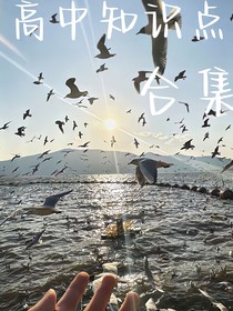 高中知识点合集
