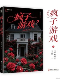 疯子们的游戏
