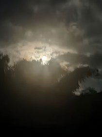 错乱世界，我是谁