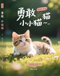 勇敢小喵咪