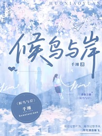 候鸟与岸