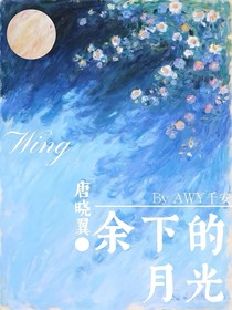 唐晓翼：余下的月光
