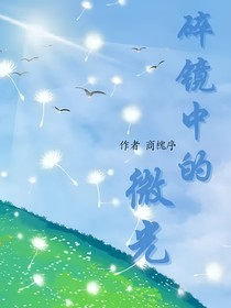 碎镜中的微光