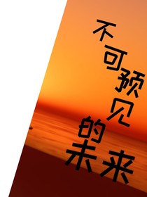 不可预见的未来