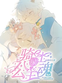 骑士的公主魂