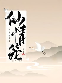 仙情笼