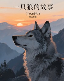 一只狼的故事（DS创作）