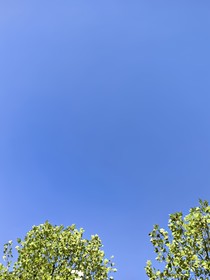 重生后老师我不当了