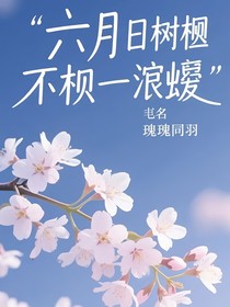 六月的梧桐依然绚烂