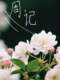 周记（初中篇）