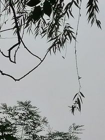 德云特别季：我在南德（曲艺杂谈啊）