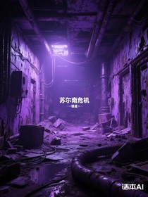 苏尔南危机