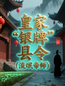 皇家银牌县令（流氓帝师）