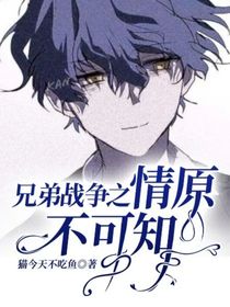 兄弟战争之情原不可知