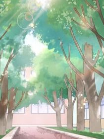 青春年谊