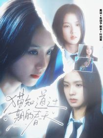 TNT：猫知道过期的春天