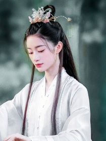 综影视：圆愿事务所