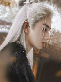 综影视：不染鬓边的白