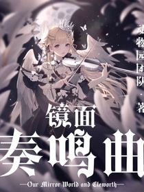镜面奏鸣曲