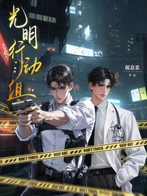 光明行动组