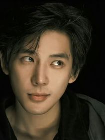 综影视：创造另一个人生