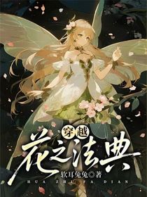 穿越：花之法典