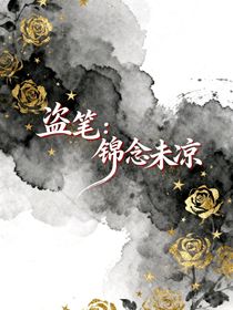 盗笔：锦念未凉