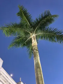 时空回响：愿你无恙
