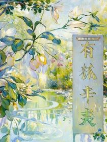 综影视：有狐辛夷