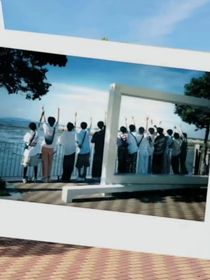 TF家族四代目
