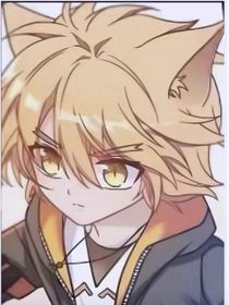 猫小九超级刀子文
