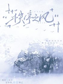 小马宝莉：秩序之风
