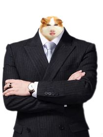 抽象版霸总